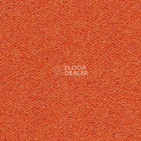 Ковровая плитка Forbo Tessera Chroma 3625 Calypso фото 1 | FLOORDEALER